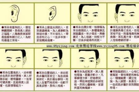 风水天生耳朵小的人运势