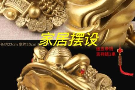 旺财风水摆件：蟾蜍的摆放有何讲究？