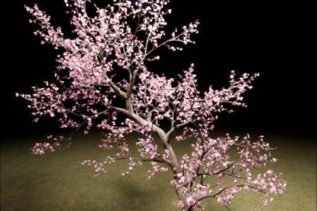旺桃花风水，旺桃花运四大妙招
