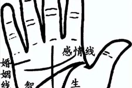 手相指纹算命图解