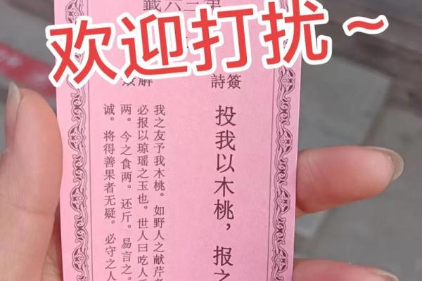 圣地圣母灵签解签大全