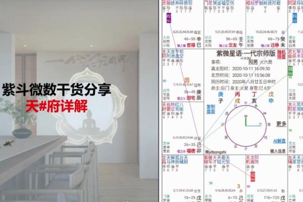 紫微斗数诸星落诸宫之：天府星兄弟宫详解