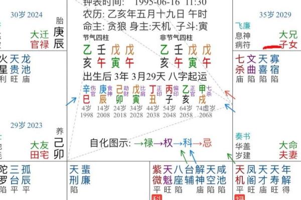 紫薇斗数看投资