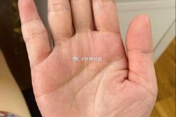 小指短的手相算命