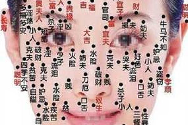 面相算命图解十二宫之:命宫 面相算命图解十二宫之:命宫