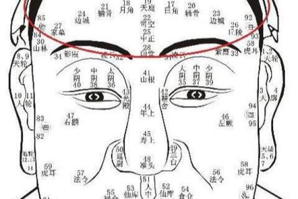 面相额头痣相图解算命