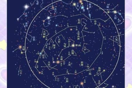 紫薇斗数的小限指的什么
