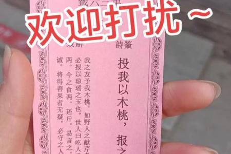 圣地圣母灵签解签大全
