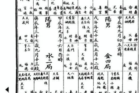 紫微斗数rumen 紫微斗数入门全书？