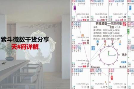 紫微斗数诸星落诸宫之：天府星兄弟宫详解