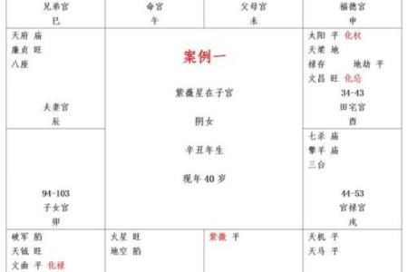 紫薇斗数看事业起色