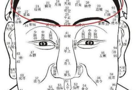面相额头痣相图解算命