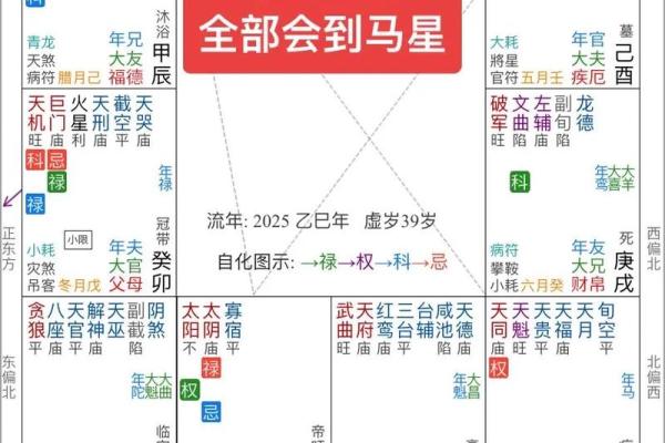 紫薇斗数看流年考学