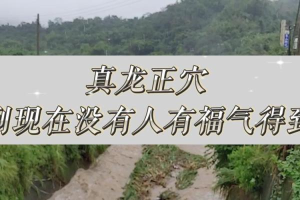 真龙正穴之风水宝地的大小问题