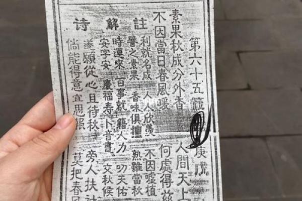 吕祖灵签野草闲花