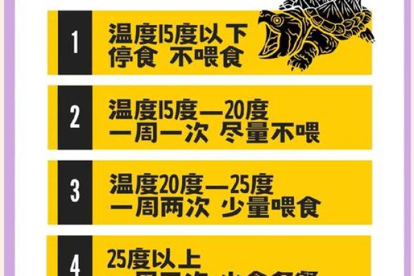 乌龟一般养几只吉利养龟风水养单数还是双数好