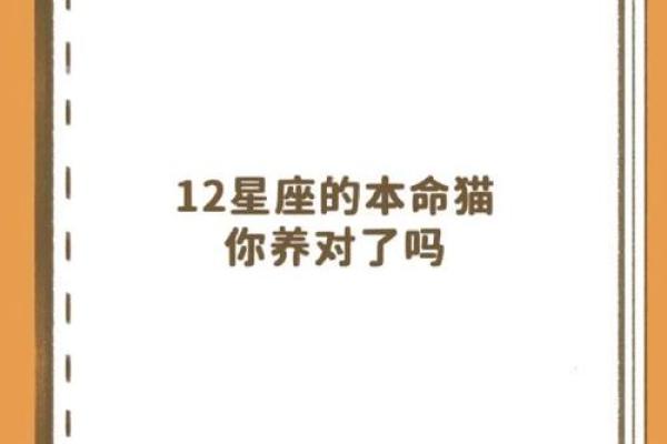 十二星座双子适合养猫狗嘛