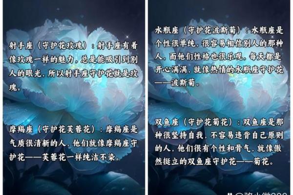 十二星座专属守护花都有哪些呢