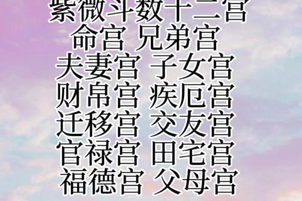 算个紫微斗数 算紫微斗数用什么ai？