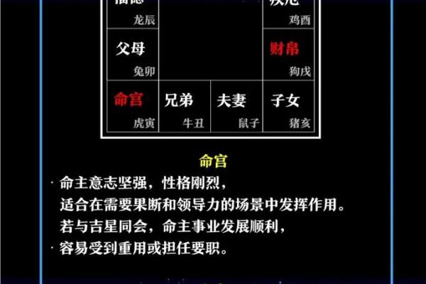 紫薇斗数与名字