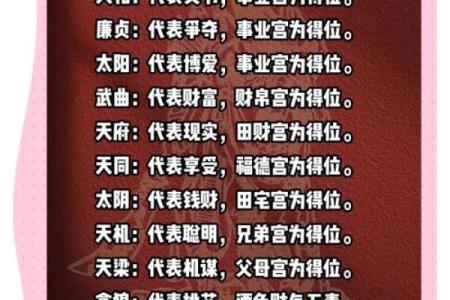 紫薇斗数星曜吉凶