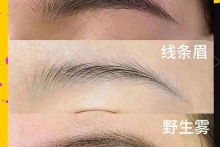 女人眉毛的风水以下眉形的眉毛财运好