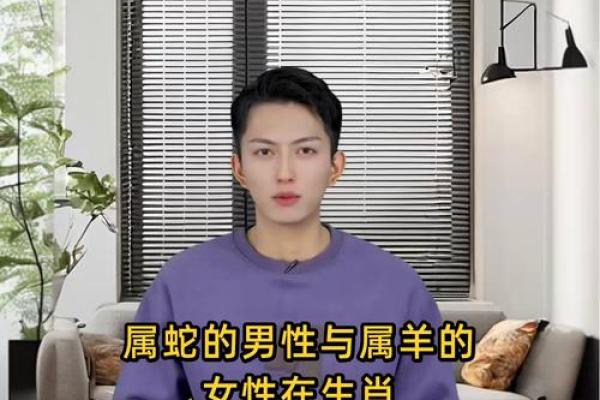 属蛇的男人应该与哪个生肖进行配对
