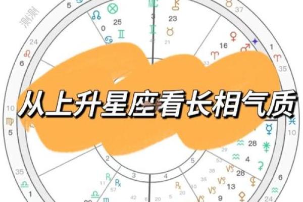 网易云如何查看上升星座星盘