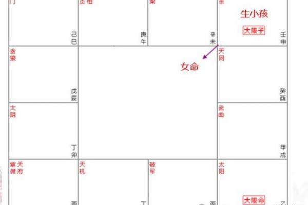 紫薇斗数灾