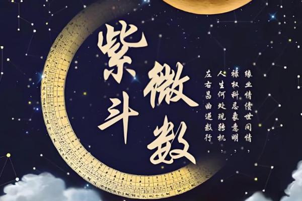 紫薇斗数无煞