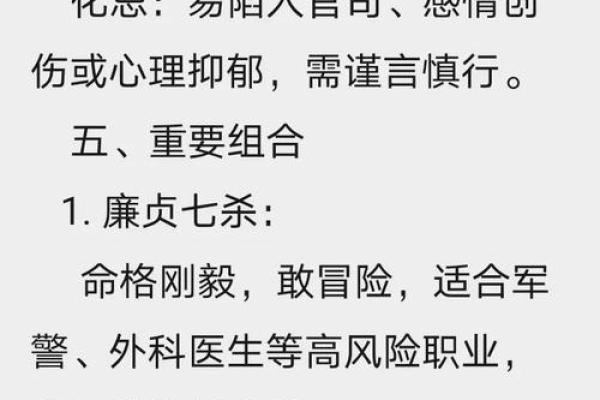廉贞星什么星座