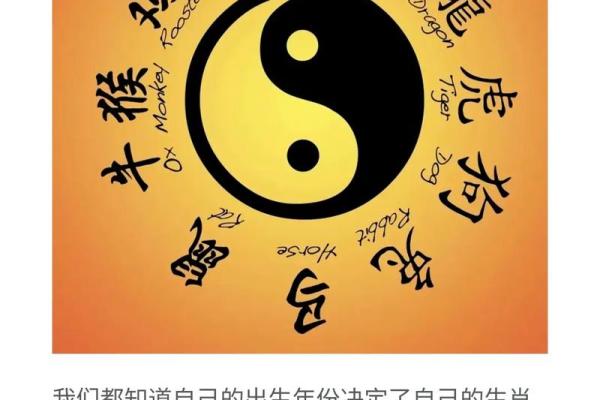 在一起家破人亡的生肖配对