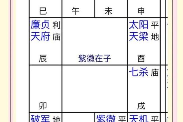 紫薇斗数命盘会照