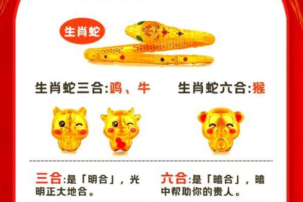 属牛和属蛇的相合配对指数