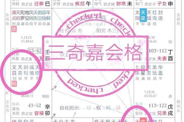 紫薇斗数命格详解