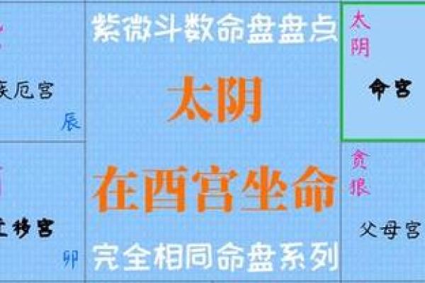 紫薇斗数太阴星