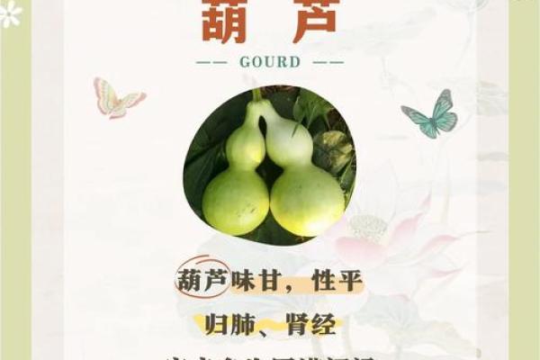 风水葫芦的作用和使用方法和忌讳