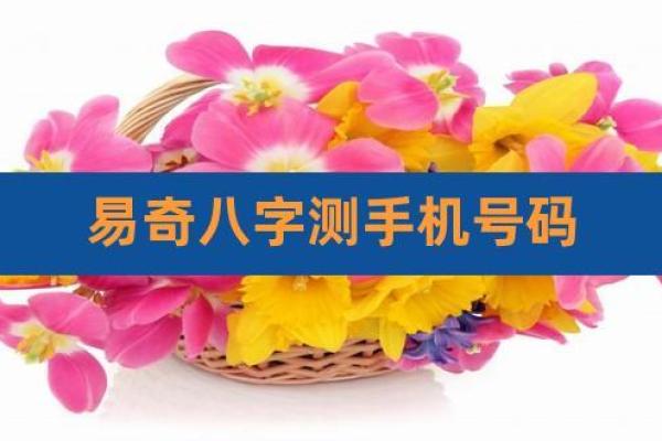 手机号码测吉凶易奇八字