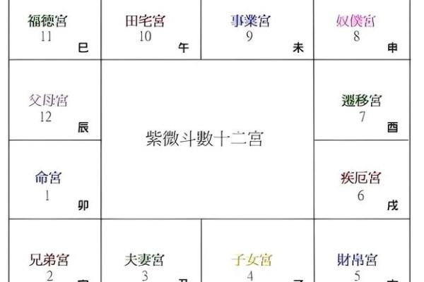 九宫格紫薇斗数盘算命怎么看