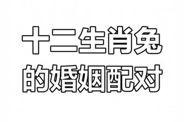 生肖属兔合婚须知，属兔配对需要注意的问题！