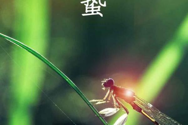 黄历惊蛰是什么意思,运气好命短