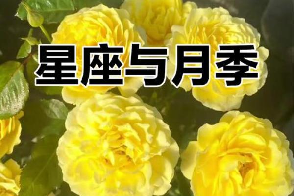 十二星座分别代表的花都有哪些呢