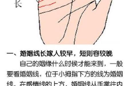 手掌算命男左女右