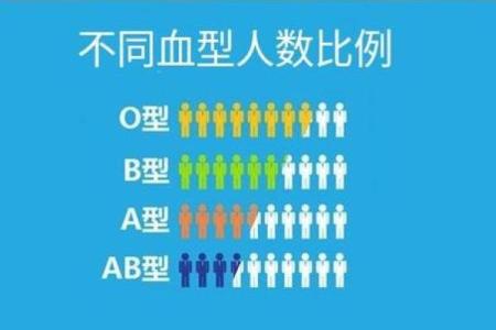 什么血型的人不显老