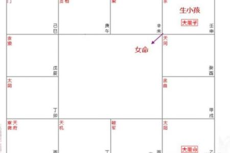 紫薇斗数灾