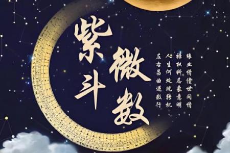 紫薇斗数无煞