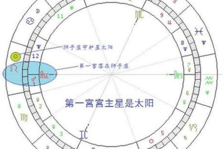 金星怎么看星座宫位好坏