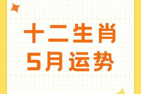 老黄历之每日宜忌十二生肖运势