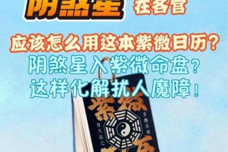 阴狠紫微斗数 紫微斗数的阴煞什么意思？