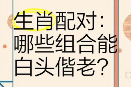 在一起家破人亡的生肖配对